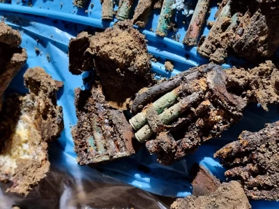 Miniatura