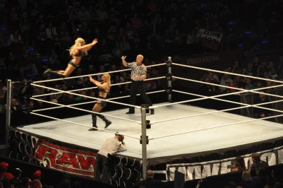 Wrestling - wszystkie chwyty dozwolone