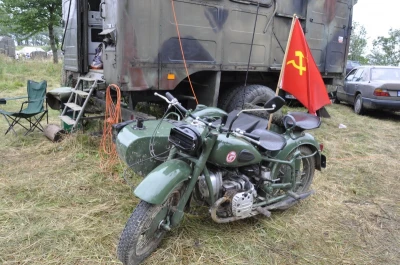 V Piknik Militarny w Lisewie