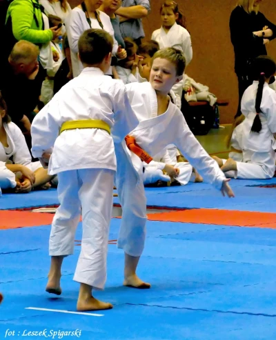 Wejherowo 2017: Pomorski Turniej Karate Tradycyjnego - fot. Leszek Spigarski
