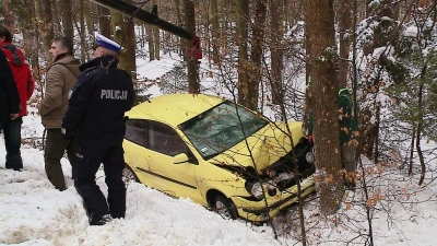 Zbyt szybka jazda skończyła się w rowie