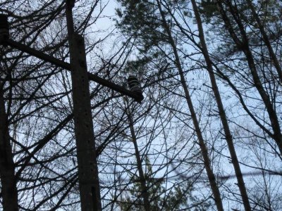 Skutki wichury na Pomorzu