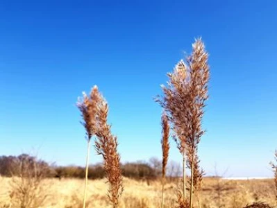 28908106_1913845638648459_869043814_n.jpg
