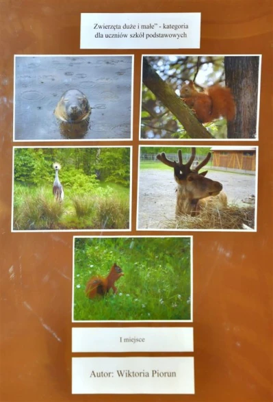 XI Powiatowo - Gminny Konkurs Fotograficzny rozstrzygnięty (fot. D. Wicka, L. Spigarski)