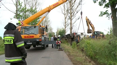 Betoniarka wpadła na drzewo