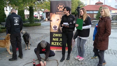 Wejherowo: Przykuli się łańcuchami do bud