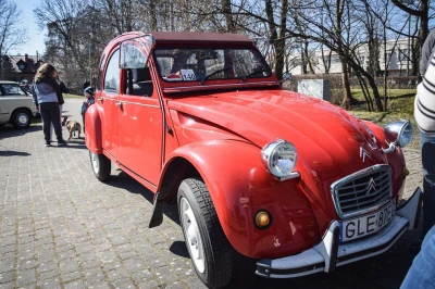 Miniatura