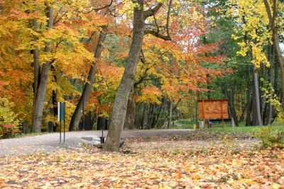 Parki wejherowskie