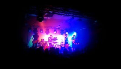 Koncert Sarsy w Fabryce Kultury w Redzie (fot. Adam Kołodziej)
