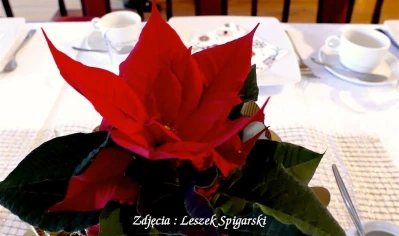 fot. Leszek Spigarski