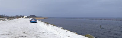 Tysiące ptaków na Kaczym Winklu