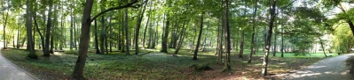 Odkrywali ciekawostki wejherowskiego parku (fot. Leszek Spigarski)