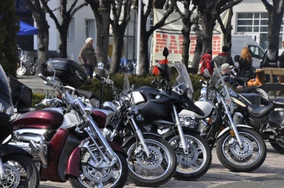 Motoserca w Sopocie