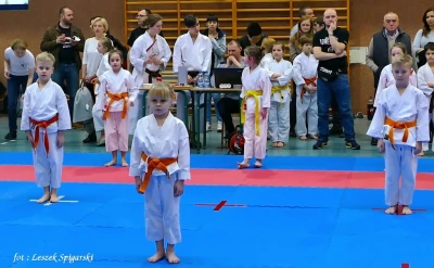 Wejherowo 2017: Pomorski Turniej Karate Tradycyjnego - fot. Leszek Spigarski
