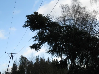 Skutki wichury na Pomorzu