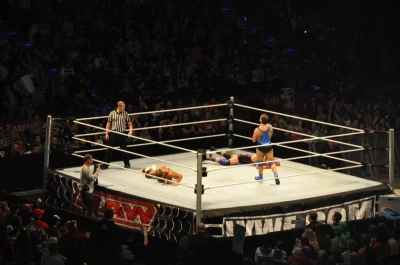 Wrestling - wszystkie chwyty dozwolone