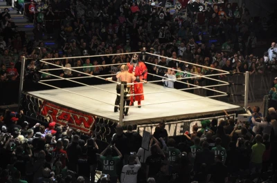 Wrestling - wszystkie chwyty dozwolone