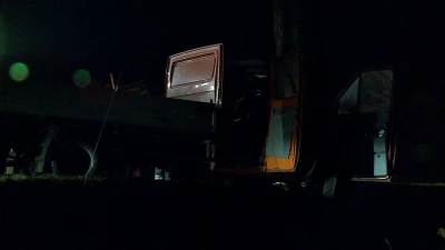 Auto dostawcze uderzyło w drzewo