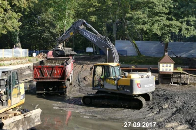 Remont łabędziego stawu w Parku Miejskim, 2017, fot. Leszek Spigarski