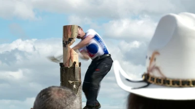 Bitwa pod Świecinem 2015