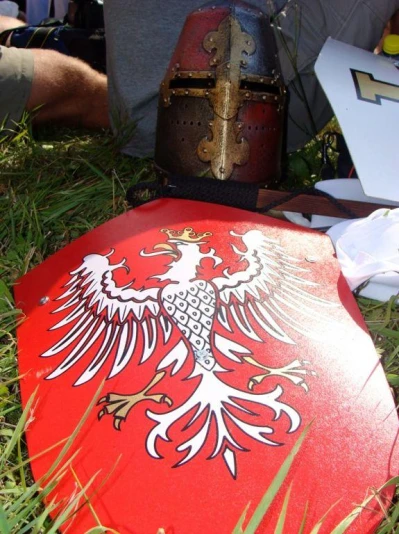 Rekonstrukcja Bitwy pod Świecinem