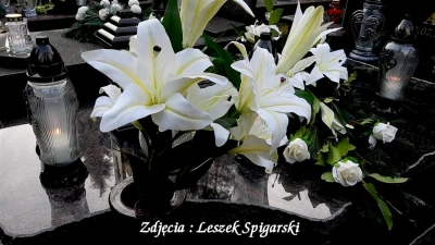 fot. Leszek Spigarski 