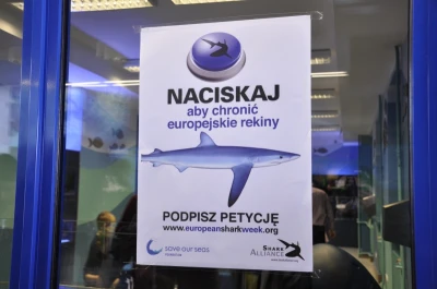 Europejski Tydzień Rekina w gdyńskim Akwarium