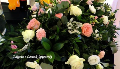  fot. Leszek Spigarski