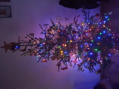 20201219_205144.jpg