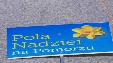 Zrzut ekranu 2401.png