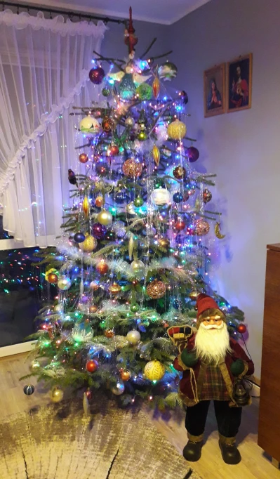 20201221_180400.jpg