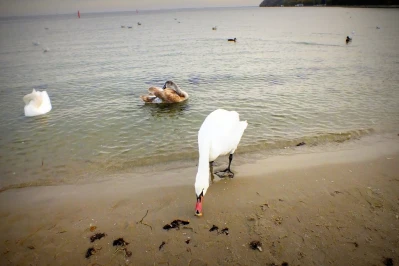 Listopadowe popołudnie na gdyńskiej plaży