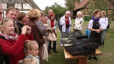 Kiszenie w Skansenie 2014