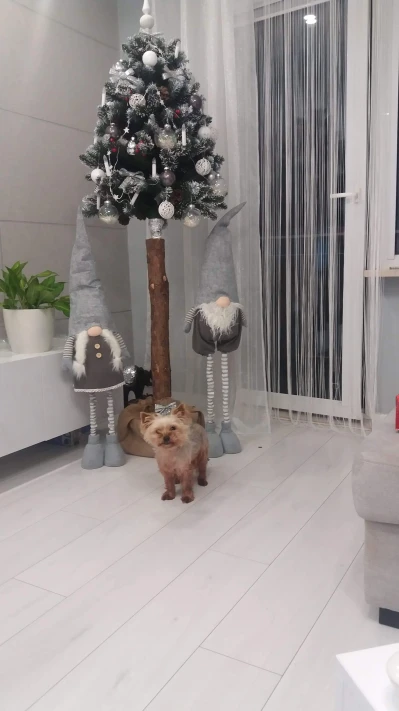 received_151565766431723.jpeg