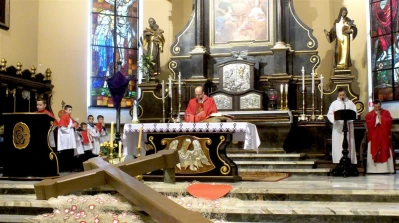Niedziela Palmowa Wejherowo 2016 fot. Leszek Spigarski