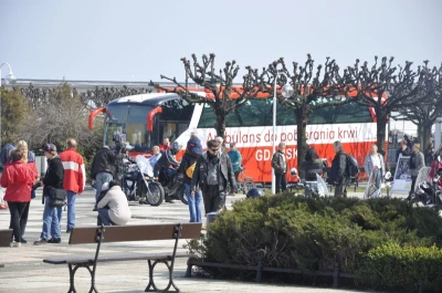 Motoserca w Sopocie