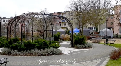 fot. Leszek Spigarski 