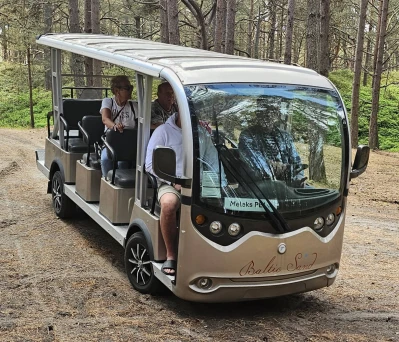 Miniatura