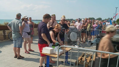 Dzień Ryby w Helu 2021