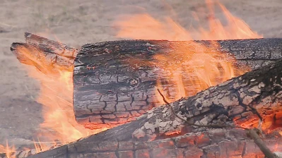 Zrzut ekranu 4104.png