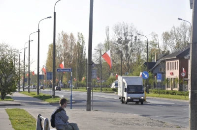 Flagi na Dzień Flagi