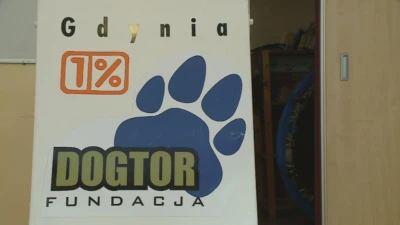 Psi terapeuci w szpitalu dziecięcym w Gdyni
