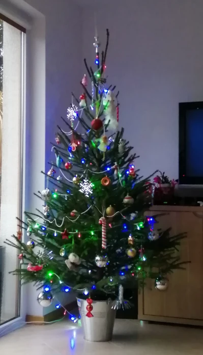 IMG_20201222_145615.jpg