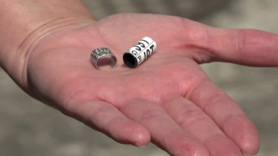 Miniatura