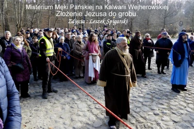 fot. Leszek Spigarski 