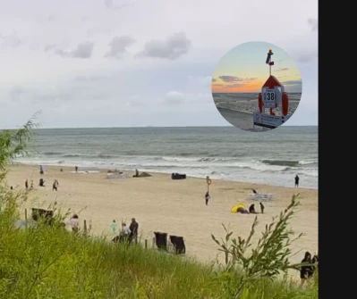 Na plaży pojawiły się stojaki życia
