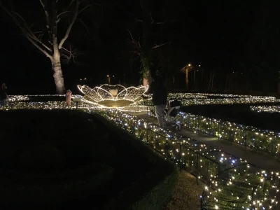 78430923_2628157407414315_1658338275154198528_n.jpg
