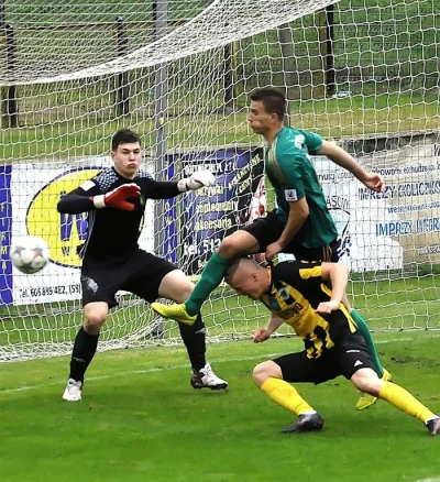 Gryf Wejherowo vs Stal Stalowa Wola fot. Leszek Spigarski
