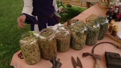 Piknik Ginących Zawodów w Domku Drzewiarza