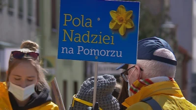 Zrzut ekranu 2409.png